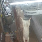20160615_151535