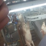 20160615_151624